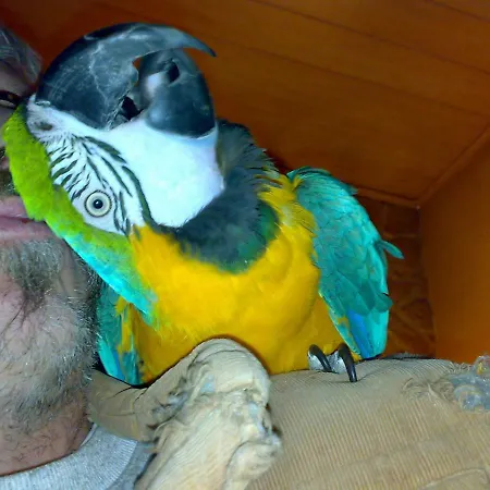 Appartement Tango Ara Cash *