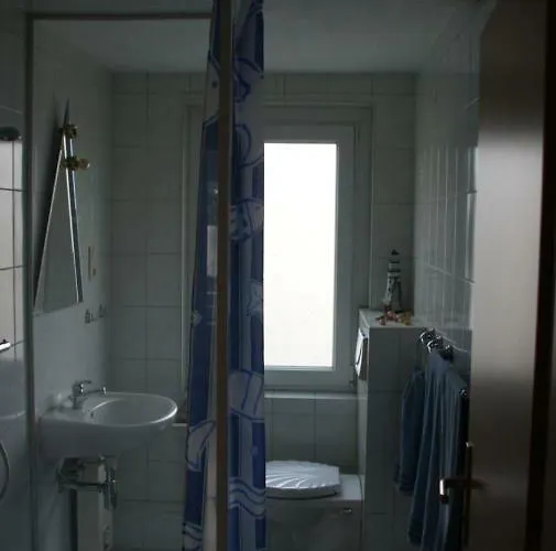 Tango Ara Cash Coswig (Saxony)