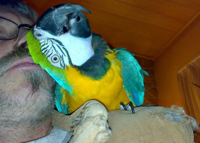 Appartement Tango Ara Cash *